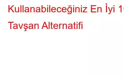 Kullanabileceğiniz En İyi 10 Tavşan Alternatifi