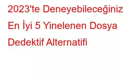 2023'te Deneyebileceğiniz En İyi 5 Yinelenen Dosya Dedektif Alternatifi