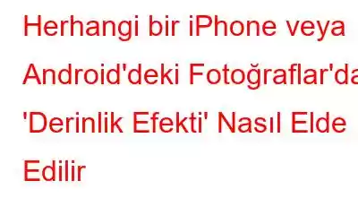 Herhangi bir iPhone veya Android'deki Fotoğraflar'da 'Derinlik Efekti' Nasıl Elde Edilir