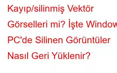 Kayıp/silinmiş Vektör Görselleri mi? İşte Windows PC'de Silinen Görüntüler Nasıl Geri Yüklenir?