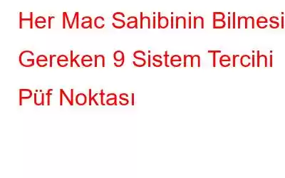 Her Mac Sahibinin Bilmesi Gereken 9 Sistem Tercihi Püf Noktası