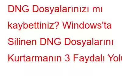 DNG Dosyalarınızı mı kaybettiniz? Windows'ta Silinen DNG Dosyalarını Kurtarmanın 3 Faydalı Yolu