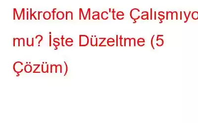 Mikrofon Mac'te Çalışmıyor mu? İşte Düzeltme (5 Çözüm)