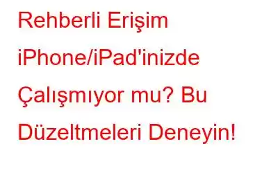 Rehberli Erişim iPhone/iPad'inizde Çalışmıyor mu? Bu Düzeltmeleri Deneyin!