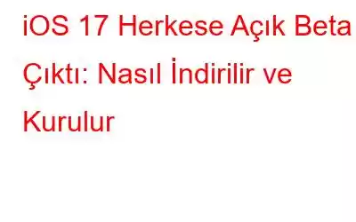 iOS 17 Herkese Açık Beta Çıktı: Nasıl İndirilir ve Kurulur