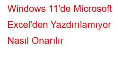 Windows 11'de Microsoft Excel'den Yazdırılamıyor Nasıl Onarılır