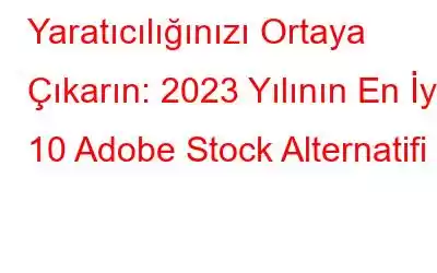 Yaratıcılığınızı Ortaya Çıkarın: 2023 Yılının En İyi 10 Adobe Stock Alternatifi